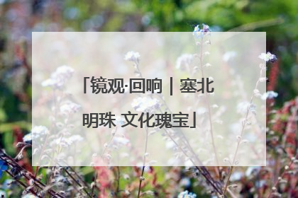 镜观·回响｜塞北明珠 文化瑰宝