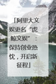 阿里大文娱更名“虎鲸文娱”：保持创业热忱，开启新征程