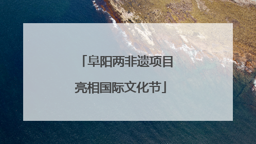 阜阳两非遗项目亮相国际文化节