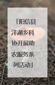 阳信县洋湖乡科协开展助农服务系列活动