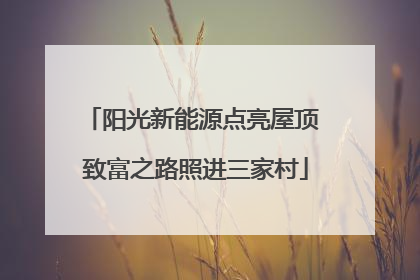 阳光新能源点亮屋顶 致富之路照进三家村