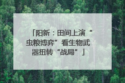 阳新：田间上演“虫粮博弈”看生物武器扭转“战局”