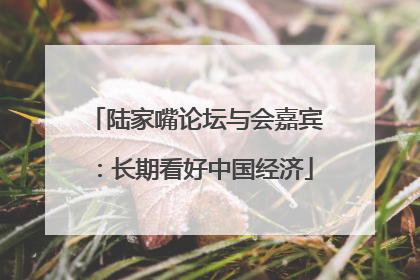 陆家嘴论坛与会嘉宾：长期看好中国经济