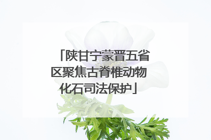 陕甘宁蒙晋五省区聚焦古脊椎动物化石司法保护
