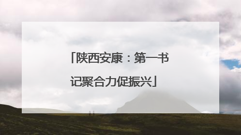 陕西安康：第一书记聚合力促振兴