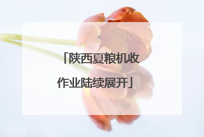 陕西夏粮机收作业陆续展开