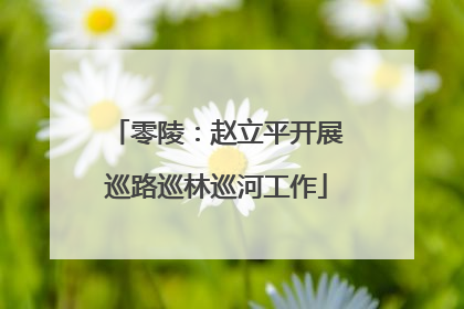 零陵：赵立平开展巡路巡林巡河工作