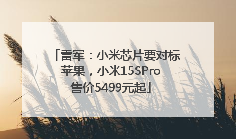 雷军：小米芯片要对标苹果，小米15SPro售价5499元起