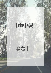 雨中识乡贤