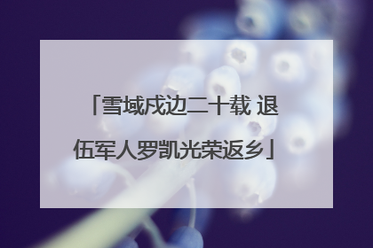雪域戍边二十载 退伍军人罗凯光荣返乡