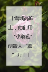 雪域高原上，他们用“小蘑菇”创造大“蘑”力！