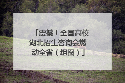 震撼！全国高校湖北招生咨询会燃动全省（组图）