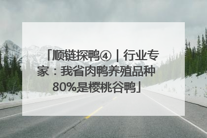 顺链探鸭④｜行业专家：我省肉鸭养殖品种80%是樱桃谷鸭
