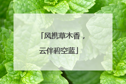 风携草木香，云伴碧空蓝