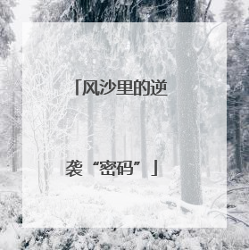 风沙里的逆袭“密码”