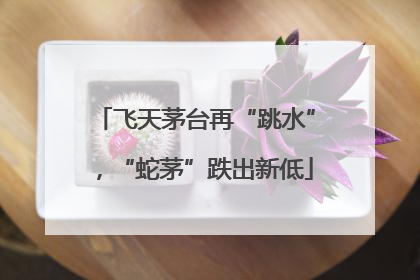 飞天茅台再“跳水”，“蛇茅”跌出新低