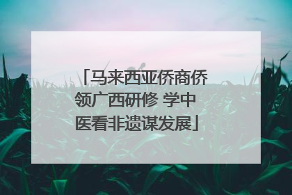 马来西亚侨商侨领广西研修 学中医看非遗谋发展