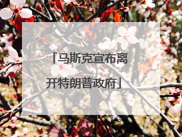 马斯克宣布离开特朗普政府