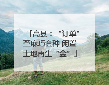 高县：“订单”苎麻巧套种 闲置土地再生“金”