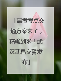 高考考点交通方案来了，精确到米！武汉武昌交警发布