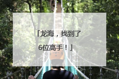 龙海，找到了6位高手！
