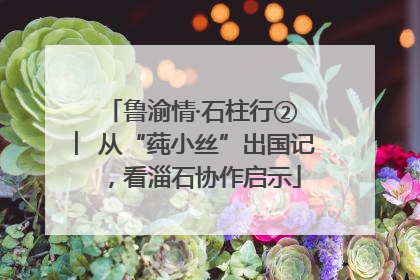 鲁渝情·石柱行② ︳从“莼小丝”出国记，看淄石协作启示