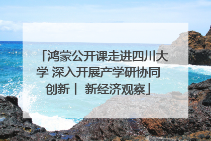 鸿蒙公开课走进四川大学 深入开展产学研协同创新丨 新经济观察