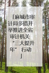 麻城市审计局多措并举推进全省审计机关 “三大提升年” 行动