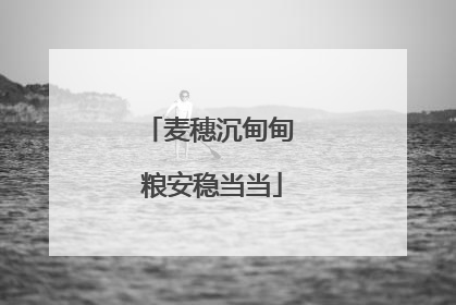 麦穗沉甸甸 粮安稳当当