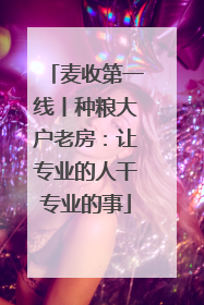 麦收第一线丨种粮大户老房：让专业的人干专业的事