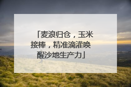 麦浪归仓，玉米接棒，精准滴灌唤醒沙地生产力