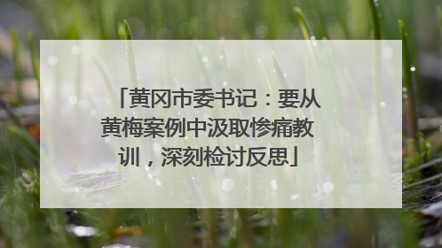 黄冈市委书记：要从黄梅案例中汲取惨痛教训，深刻检讨反思