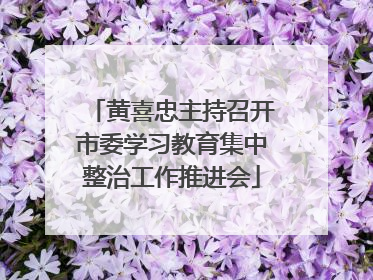 黄喜忠主持召开市委学习教育集中整治工作推进会