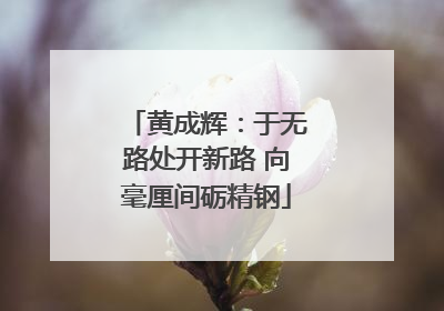 黄成辉：于无路处开新路 向毫厘间砺精钢