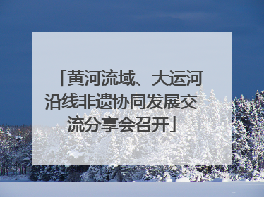 黄河流域、大运河沿线非遗协同发展交流分享会召开