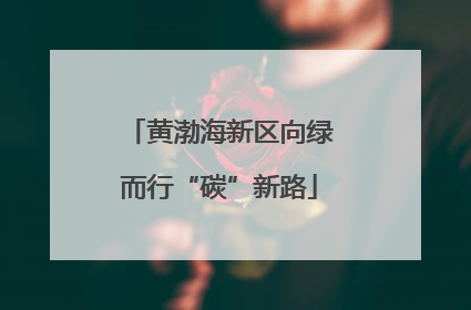 黄渤海新区向绿而行“碳”新路