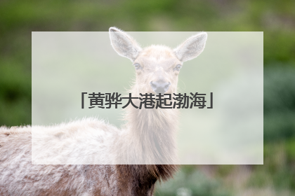 黄骅大港起渤海