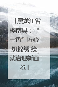 黑龙江省桦南县：“三色”匠心织锦绣 绘就治理新画卷