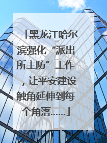黑龙江哈尔滨强化“派出所主防”工作，让平安建设触角延伸到每个角落……