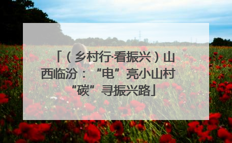 （乡村行·看振兴）山西临汾：“电”亮小山村 “碳”寻振兴路