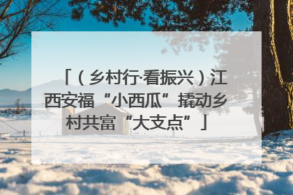 （乡村行·看振兴）江西安福“小西瓜”撬动乡村共富“大支点”