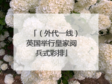 （外代一线）英国举行皇家阅兵式彩排
