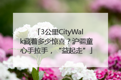 3公里CityWalk藏着多少惊喜？沪疆童心手拉手，“益起走”