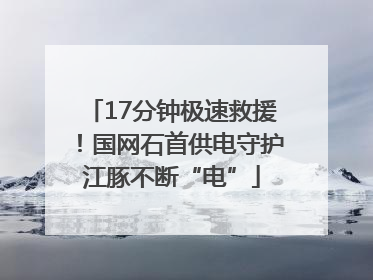 17分钟极速救援！国网石首供电守护江豚不断“电”