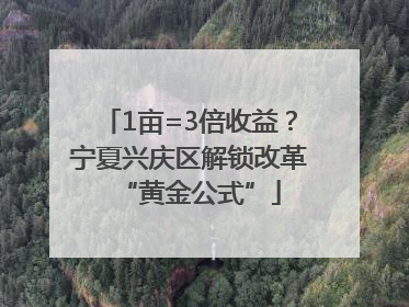 1亩=3倍收益？宁夏兴庆区解锁改革“黄金公式”