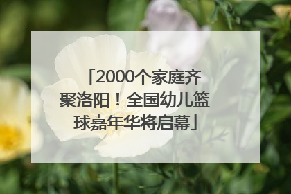 2000个家庭齐聚洛阳！全国幼儿篮球嘉年华将启幕