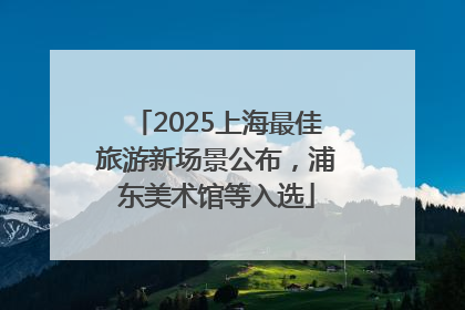 2025上海最佳旅游新场景公布，浦东美术馆等入选