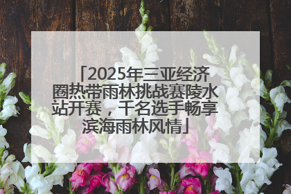 2025年三亚经济圈热带雨林挑战赛陵水站开赛，千名选手畅享滨海雨林风情