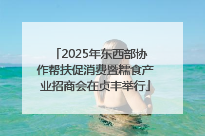 2025年东西部协作帮扶促消费暨糯食产业招商会在贞丰举行