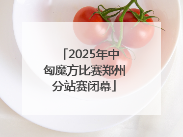 2025年中匈魔方比赛郑州分站赛闭幕
